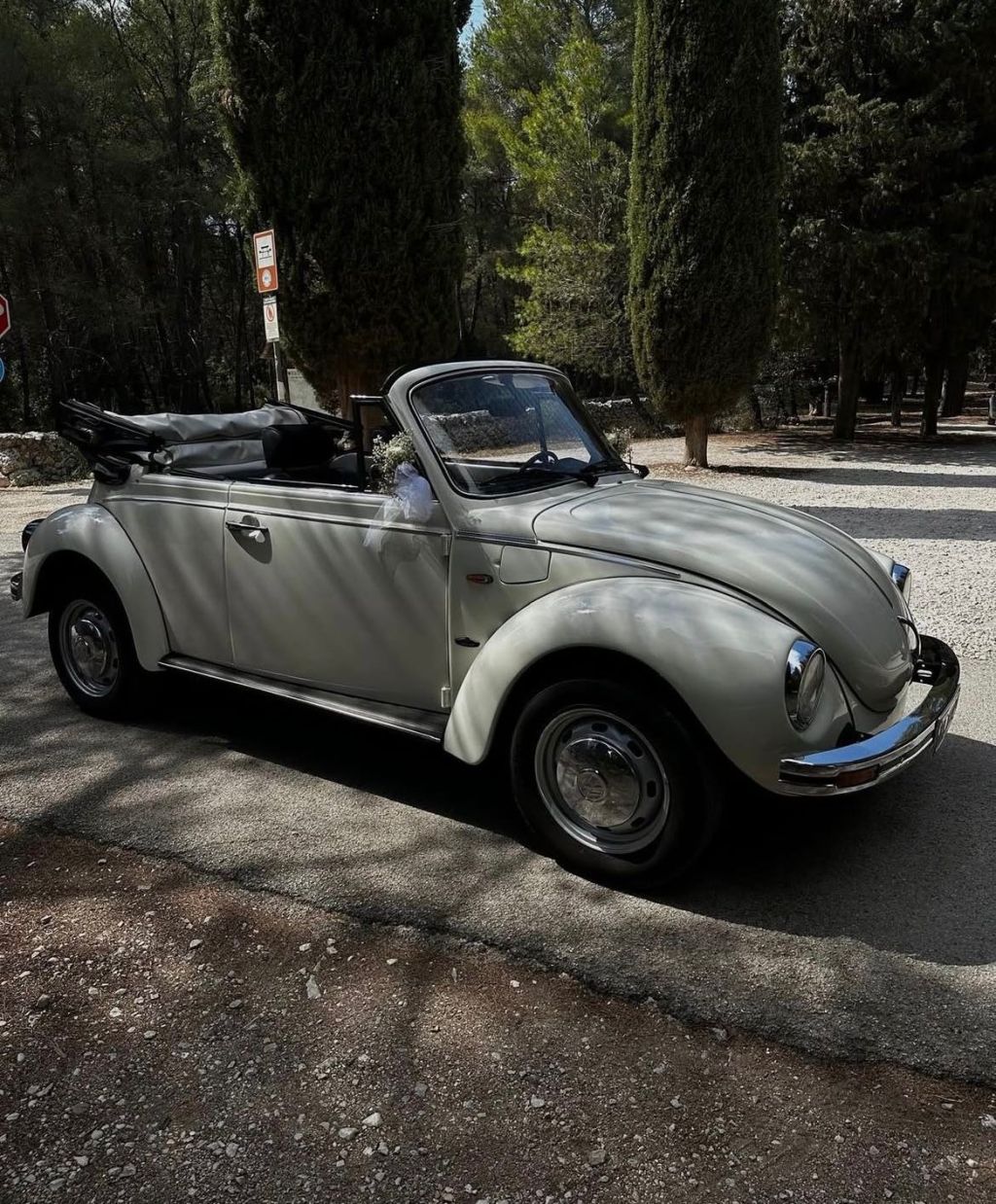 Volkswagen maggiolone